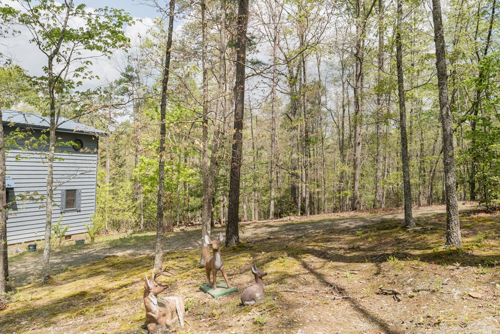 374 Country Lane, MURPHY, North Carolina image 28