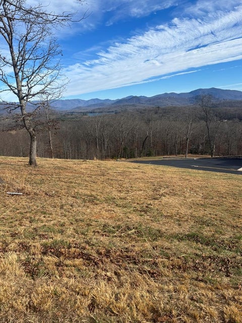 Vacant Land For Sale - LOT 24 Jack Groves #24<br/> HAYESVILLE, NC 28904