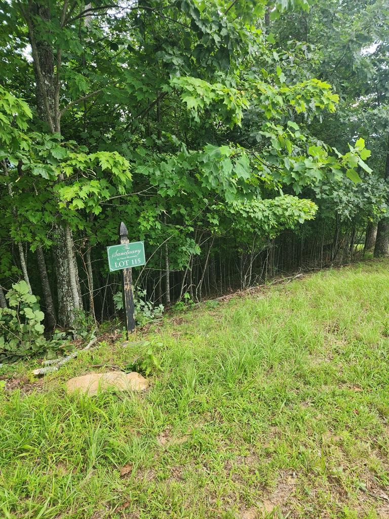 Photo 1 of 15 — 00 VANCE MOUNTAIN RD Unit 115, MURPHY, NC 28906