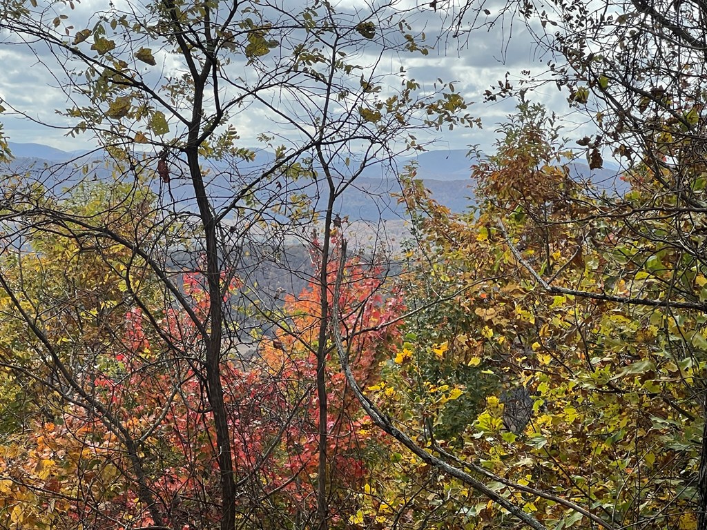 TBD Buck Ridge Dr #51, MURPHY, North Carolina image 2