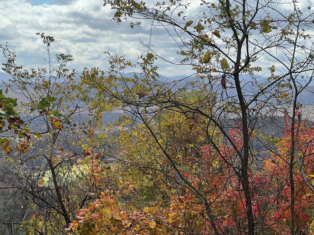 TBD Buck Ridge Dr #51, MURPHY, North Carolina image 3