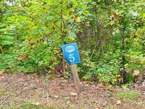 Vacant Land For Sale - LOT 5 Skyview Drive #5<br/> HAYESVILLE, NC 28904