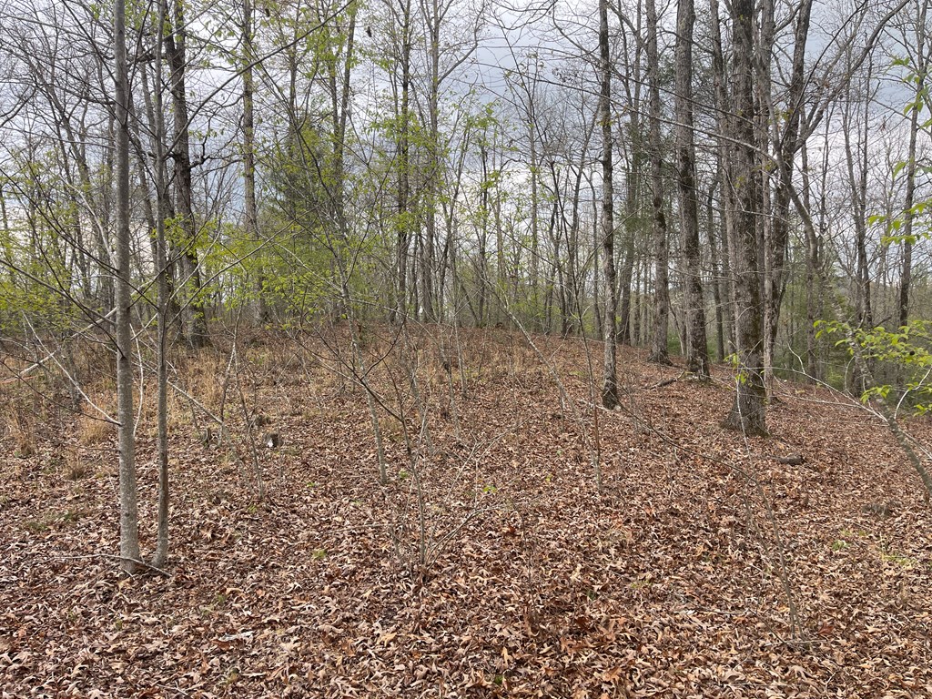 00 River Mountain Road #86, MURPHY, North Carolina image 3