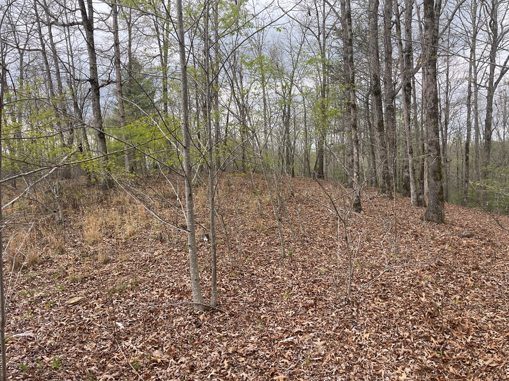00 River Mountain Road #86, MURPHY, North Carolina image 2