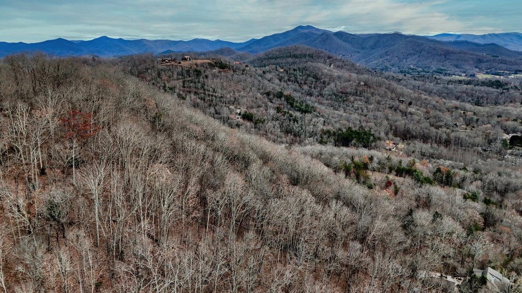 Lot 5 N Chatuge Woods Dr #5, HAYESVILLE, North Carolina image 7