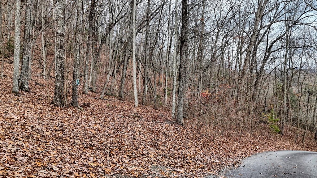 Lot 5 N Chatuge Woods Dr #5, HAYESVILLE, North Carolina image 13