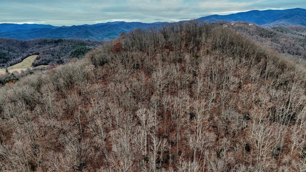 Lot 5 N Chatuge Woods Dr #5, HAYESVILLE, North Carolina image 12