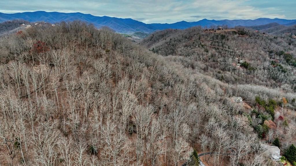 Lot 5 N Chatuge Woods Dr #5, HAYESVILLE, North Carolina image 10