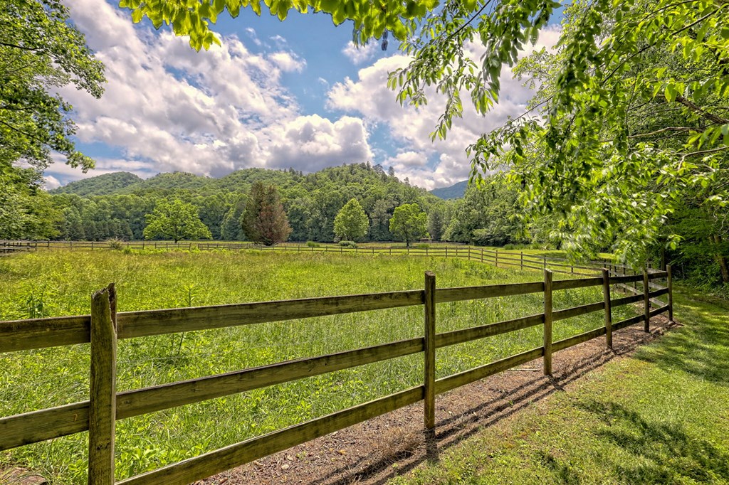 9212 Tusquittee Road, HAYESVILLE, North Carolina image 4