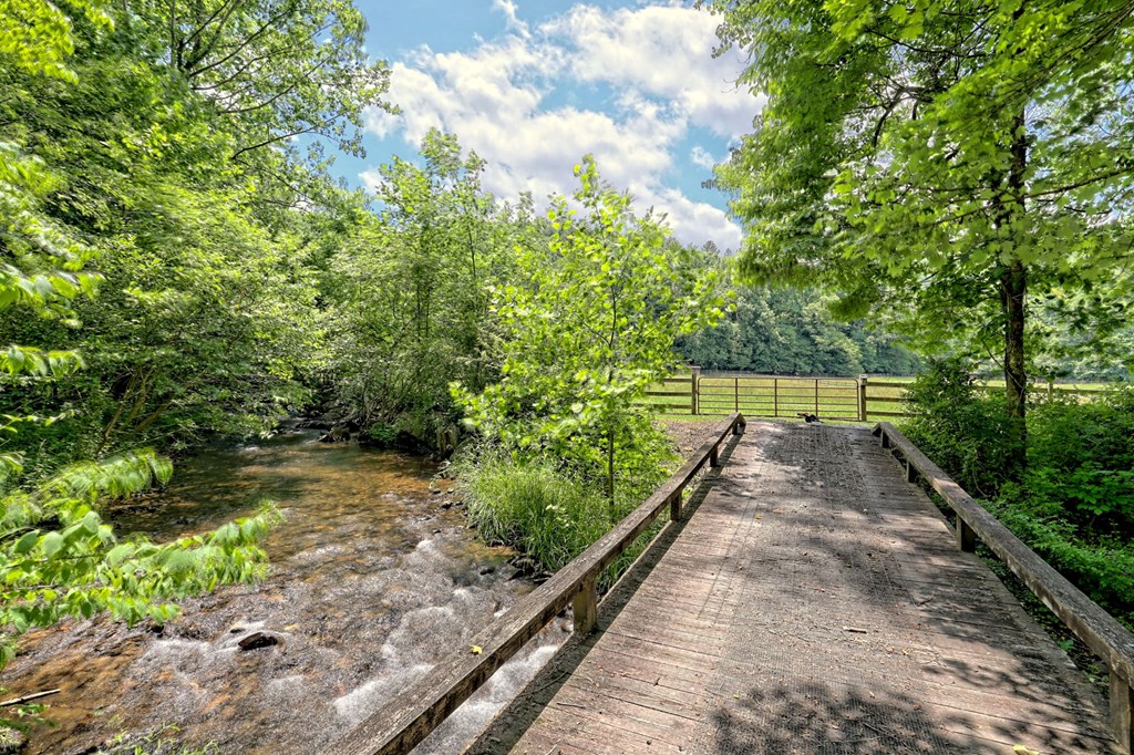 9212 Tusquittee Road, HAYESVILLE, North Carolina image 3