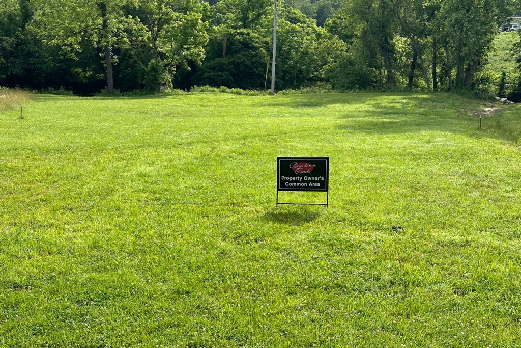 Lot 31 Gobbler View #31, WARNE, North Carolina image 15