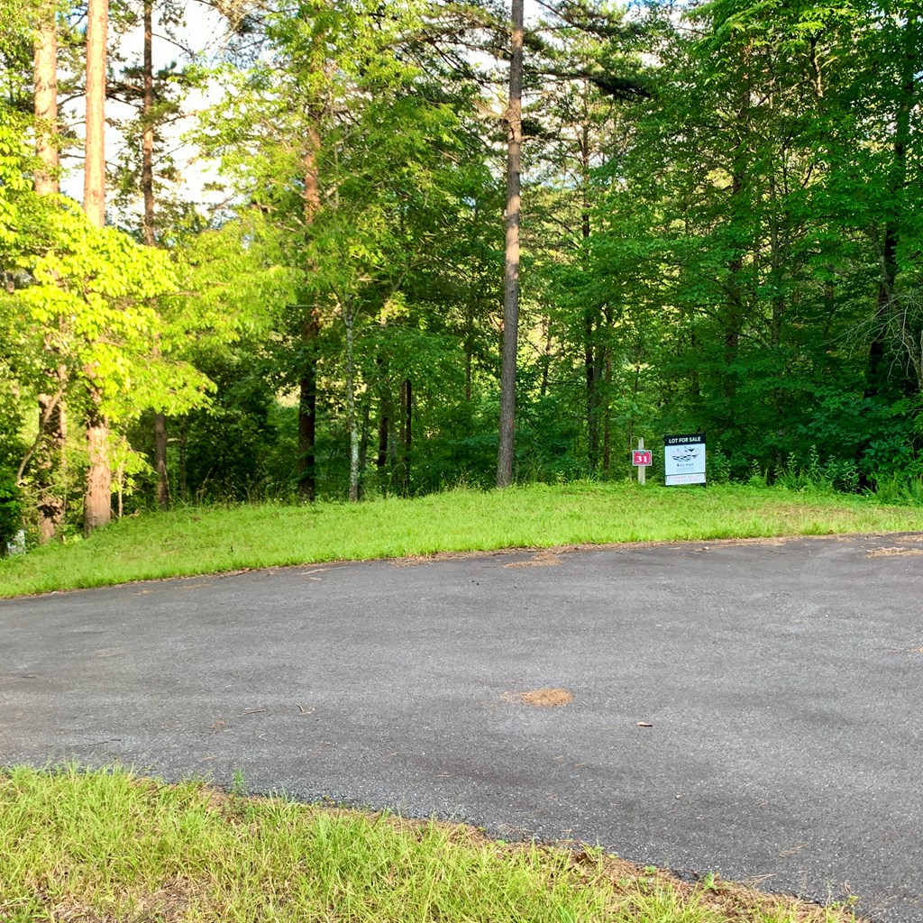 Lot 31 Gobbler View #31, WARNE, North Carolina image 11