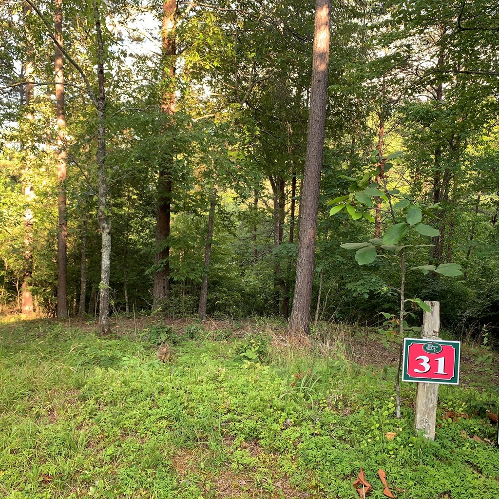 Lot 31 Gobbler View #31, WARNE, North Carolina image 4