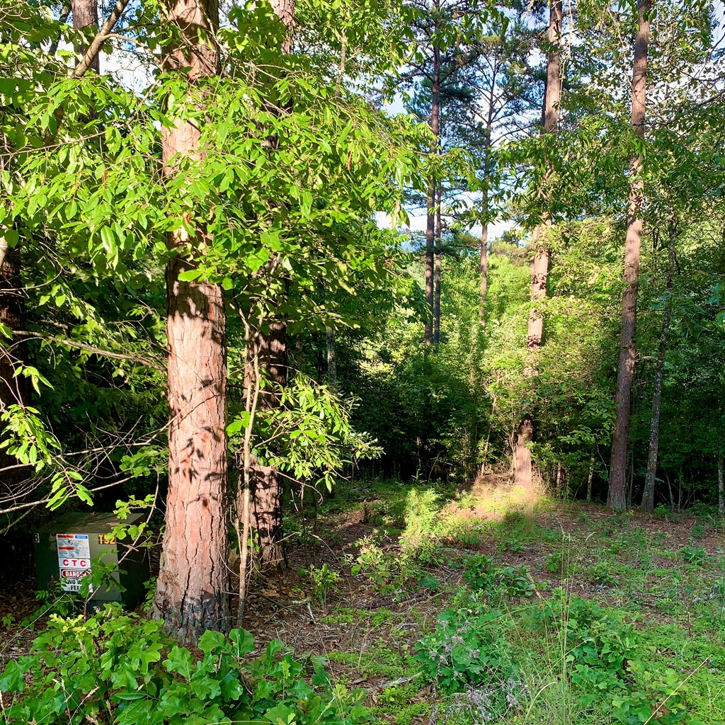 Lot 31 Gobbler View #31, WARNE, North Carolina image 9