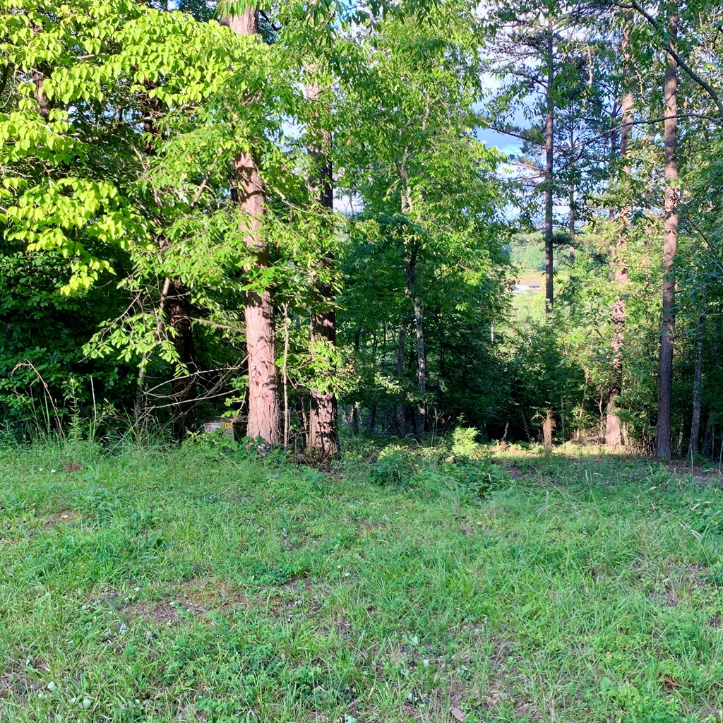 Lot 31 Gobbler View #31, WARNE, North Carolina image 8