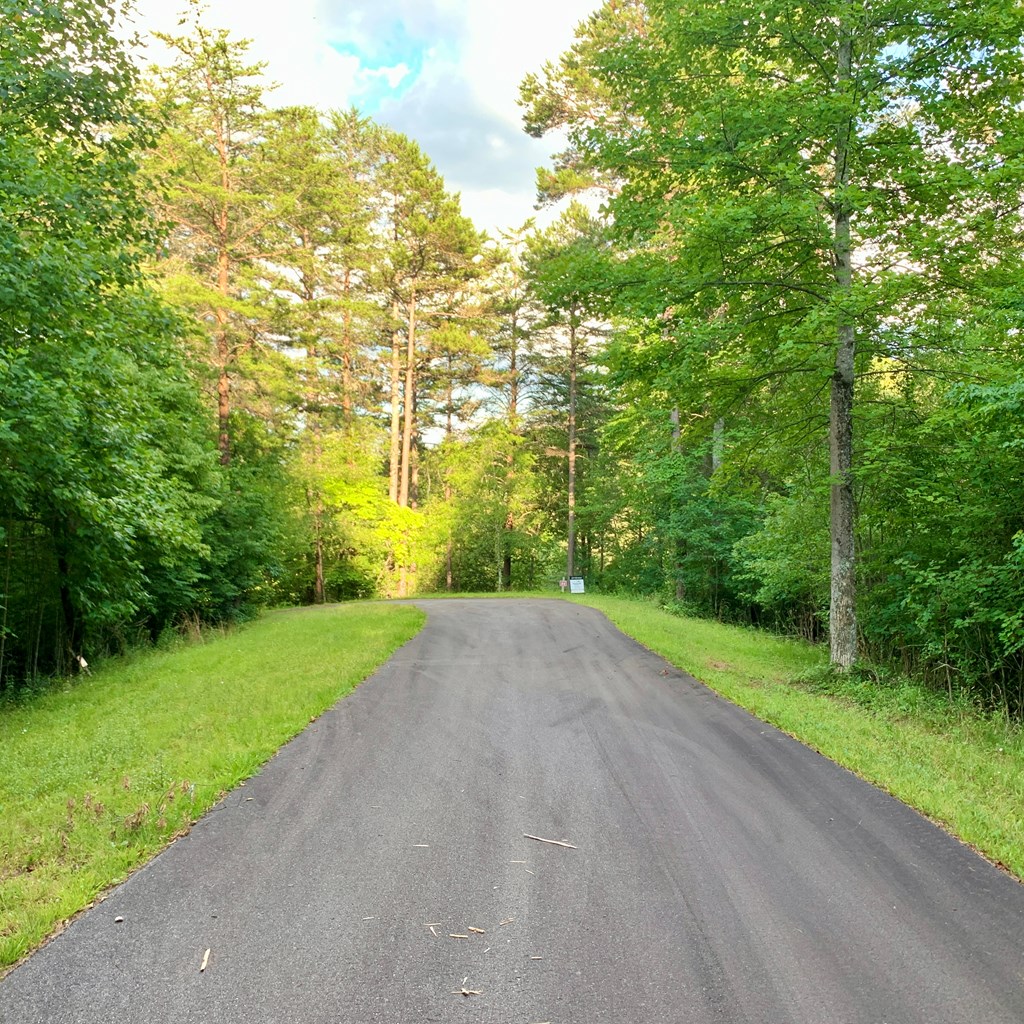 Lot 31 Gobbler View #31, WARNE, North Carolina image 2