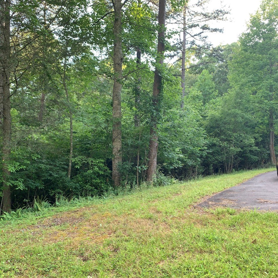 Lot 31 Gobbler View #31, WARNE, North Carolina image 10