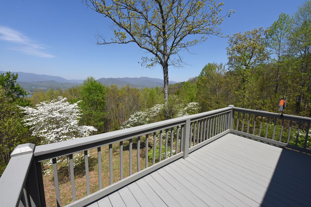 62 Eagles View Court, HAYESVILLE, North Carolina image 21