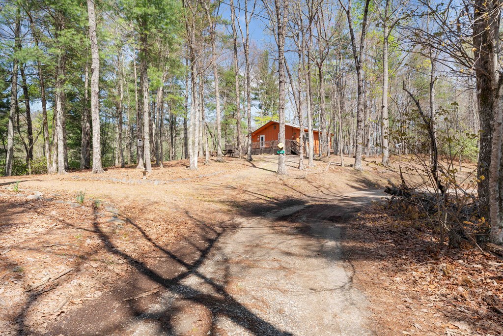 1089 Sky Trek Drive, MURPHY, North Carolina image 27