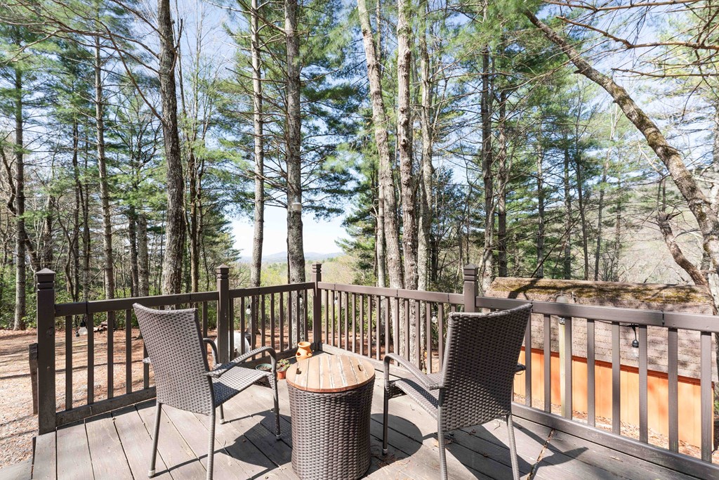 1089 Sky Trek Drive, MURPHY, North Carolina image 21
