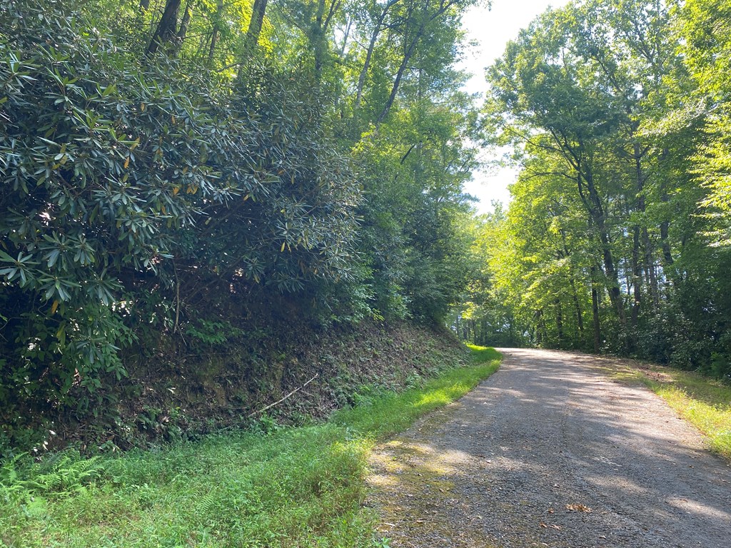 Lot 3 Slate Stone Lane #3, HAYESVILLE, New York image 2