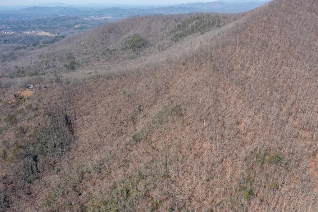 TBD Roach Cove Rd, HAYESVILLE, North Carolina image 4