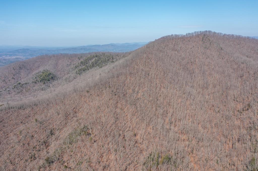 TBD Roach Cove Rd, HAYESVILLE, North Carolina image 9