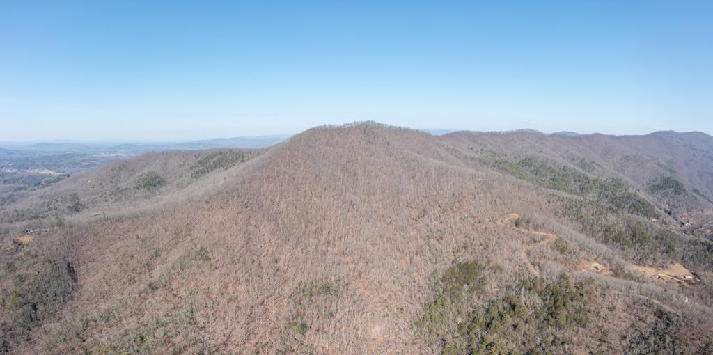 TBD Roach Cove Rd, HAYESVILLE, North Carolina image 8