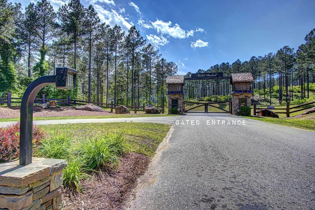Lot 50 Deyton Dr #50, BLAIRSVILLE, Georgia image 23