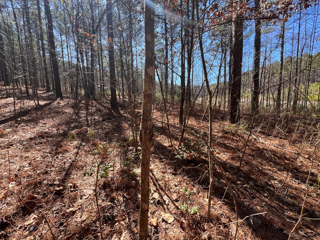 Lot 50 Deyton Dr #50, BLAIRSVILLE, Georgia image 13