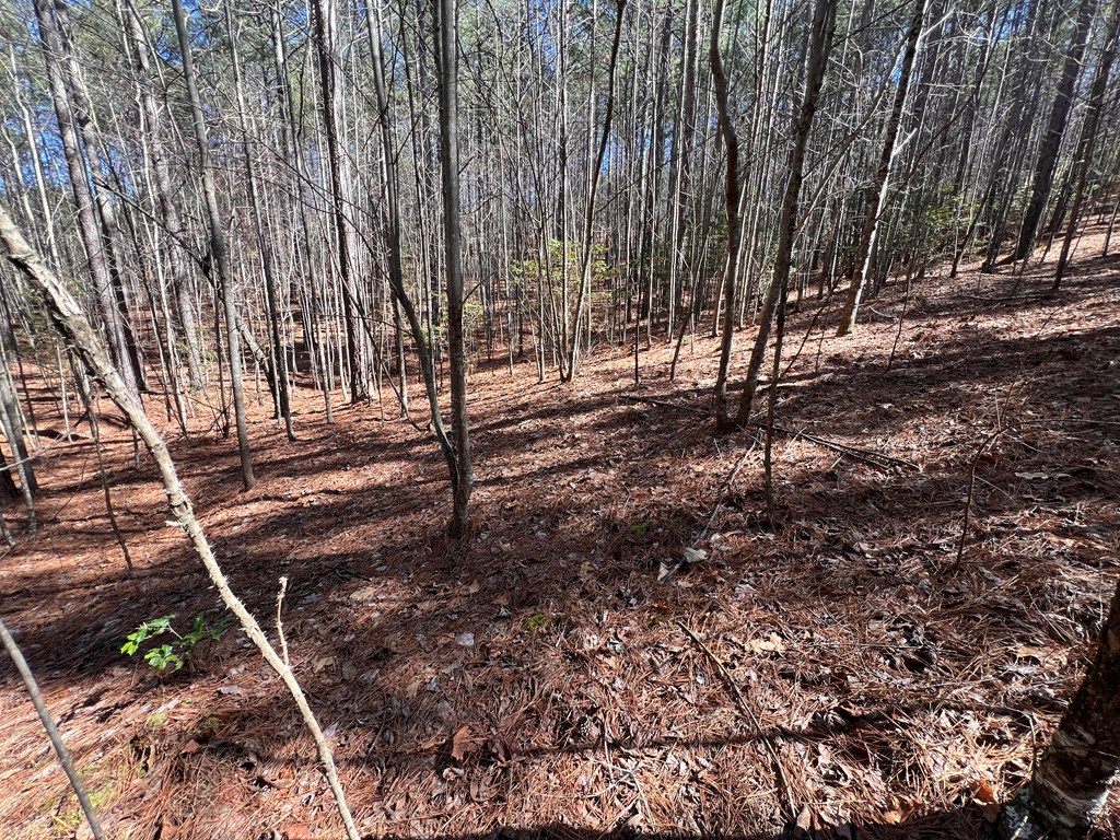 Lot 50 Deyton Dr #50, BLAIRSVILLE, Georgia image 16