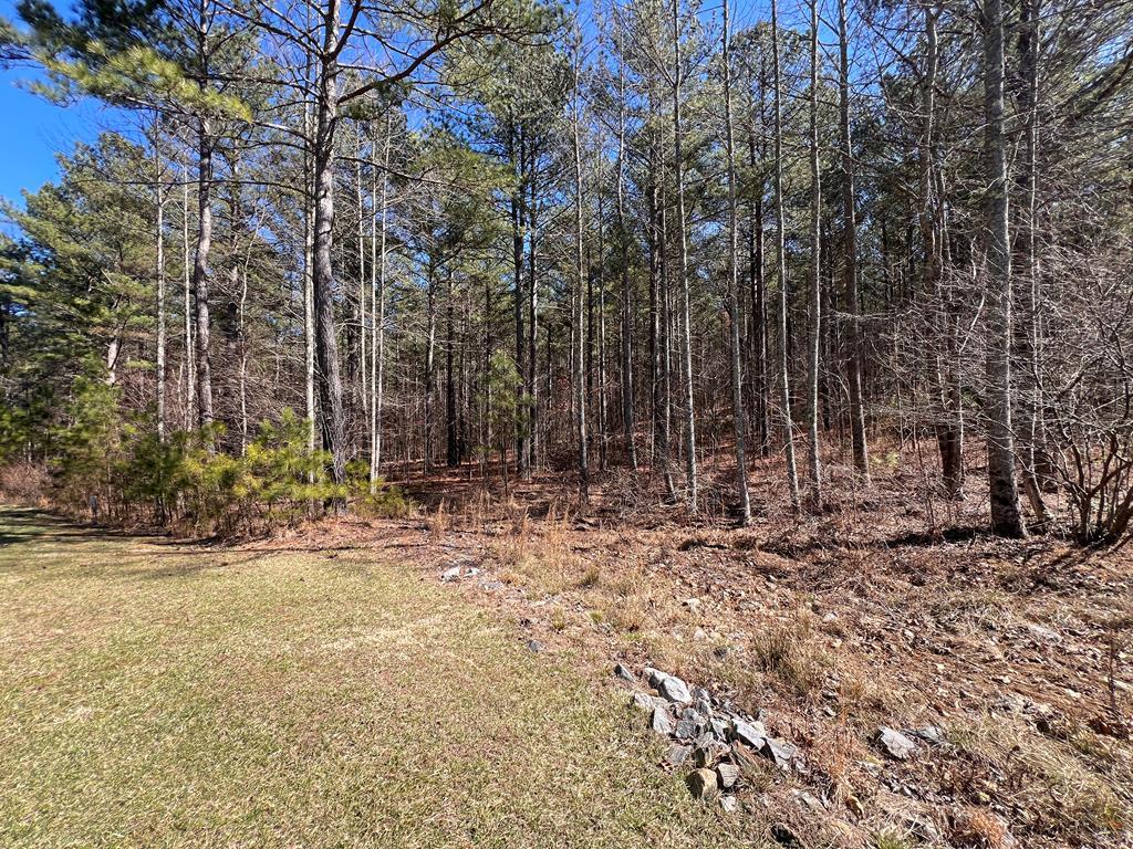 Lot 50 Deyton Dr #50, BLAIRSVILLE, Georgia image 2