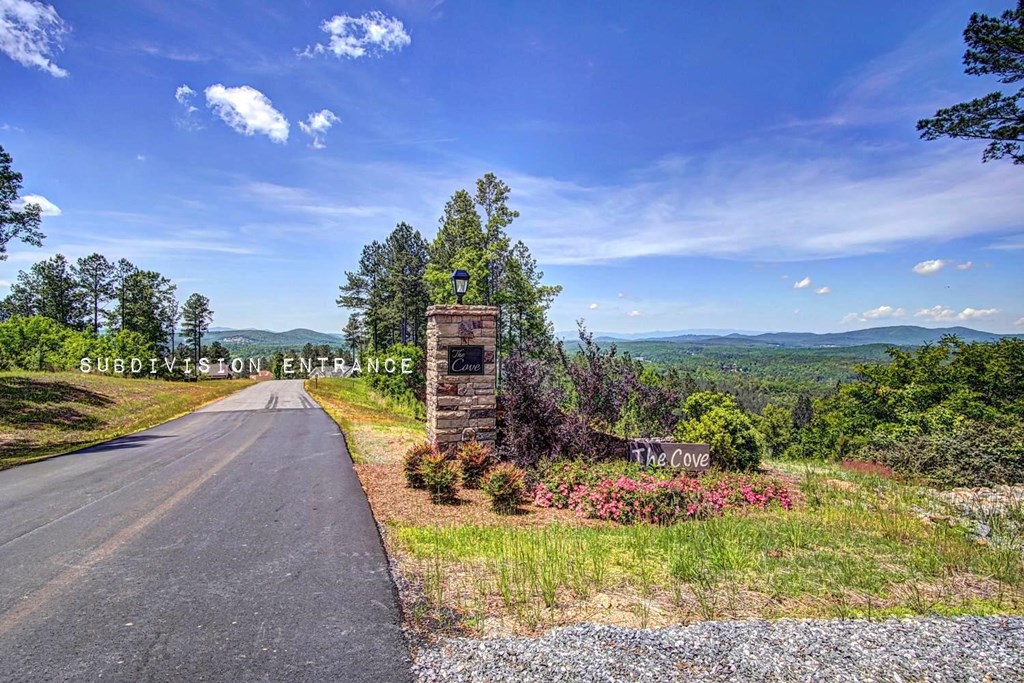 Lot 50 Deyton Dr #50, BLAIRSVILLE, Georgia image 27