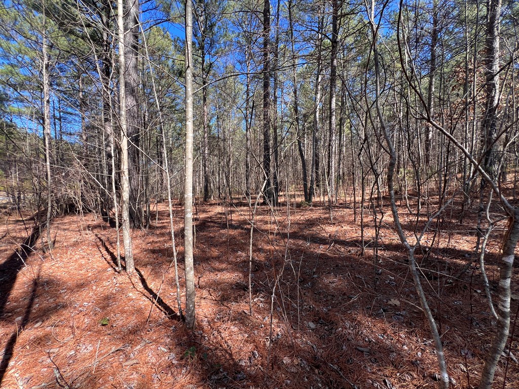 Lot 50 Deyton Dr #50, BLAIRSVILLE, Georgia image 9