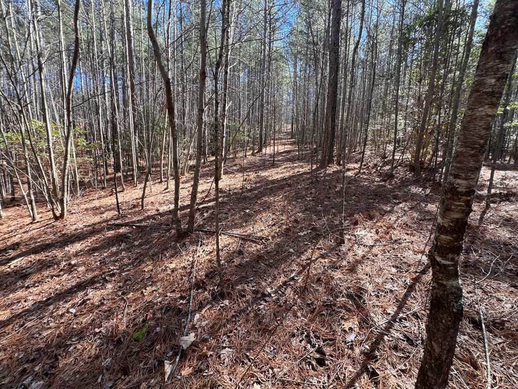 Lot 50 Deyton Dr #50, BLAIRSVILLE, Georgia image 17