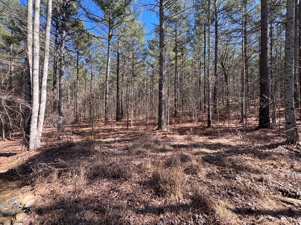 Lot 50 Deyton Dr #50, BLAIRSVILLE, Georgia image 7