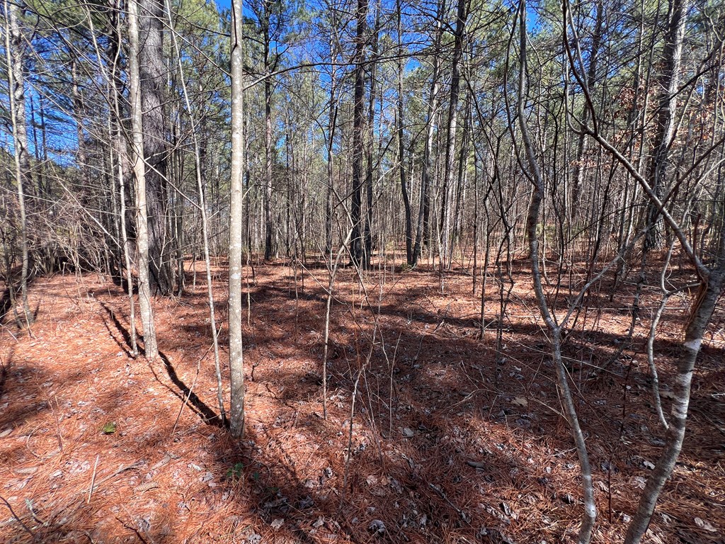 Lot 50 Deyton Dr #50, BLAIRSVILLE, Georgia image 10