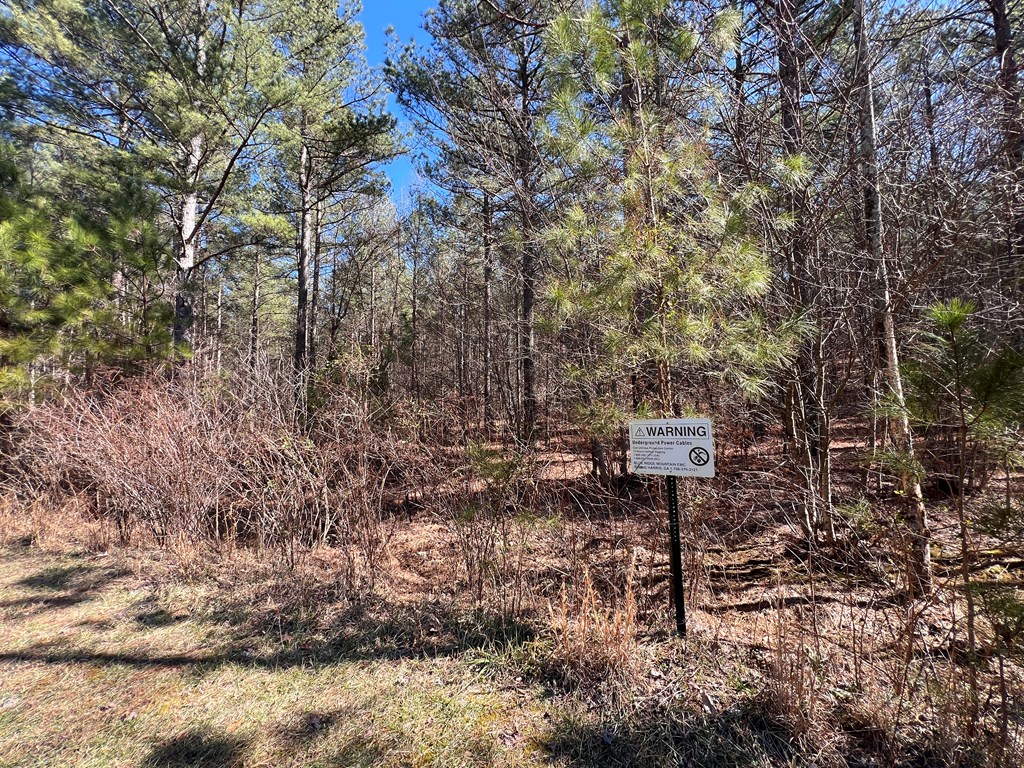Lot 50 Deyton Dr #50, BLAIRSVILLE, Georgia image 5