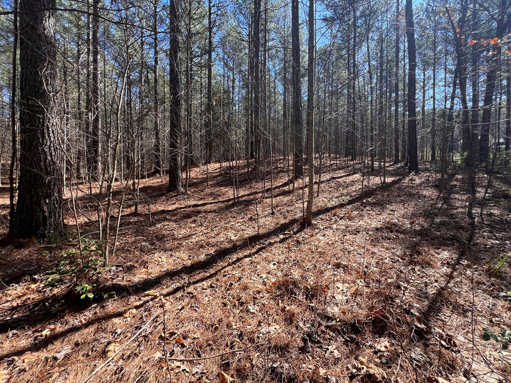 Lot 50 Deyton Dr #50, BLAIRSVILLE, Georgia image 12