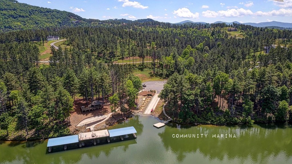 Lot 50 Deyton Dr #50, BLAIRSVILLE, Georgia image 28