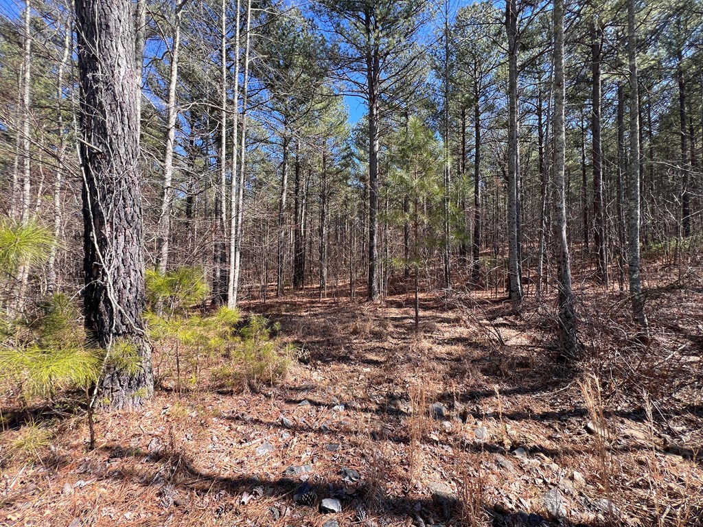 Lot 50 Deyton Dr #50, BLAIRSVILLE, Georgia image 3