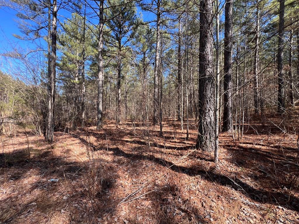 Lot 50 Deyton Dr #50, BLAIRSVILLE, Georgia image 1