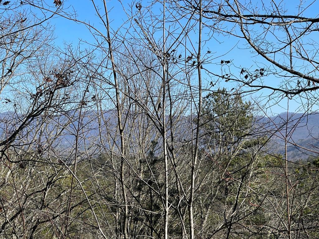 000 Mistletoe Rdg #11, MURPHY, North Carolina image 23