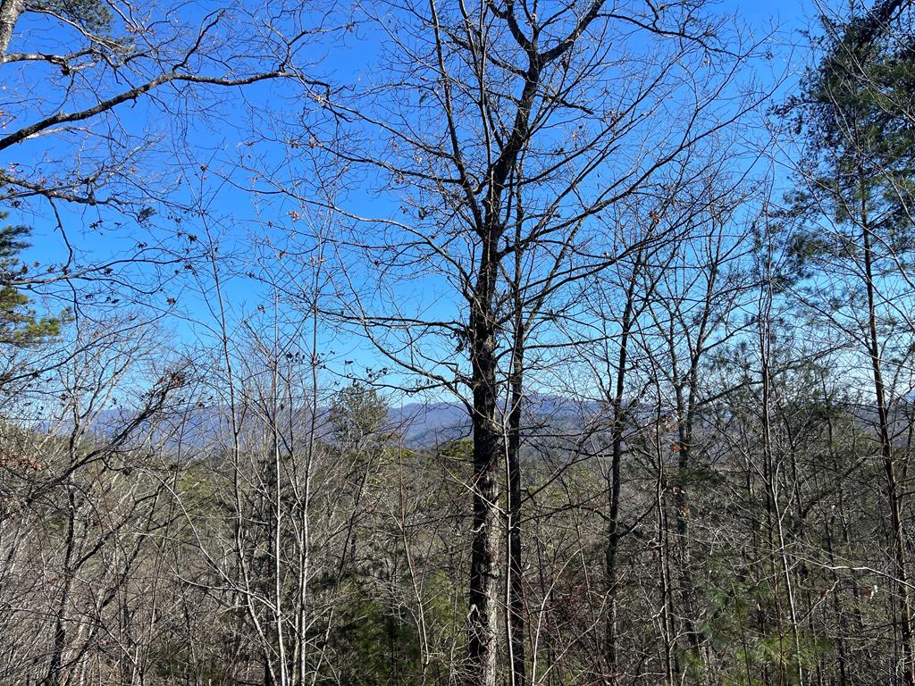 000 Mistletoe Rdg #11, MURPHY, North Carolina image 22