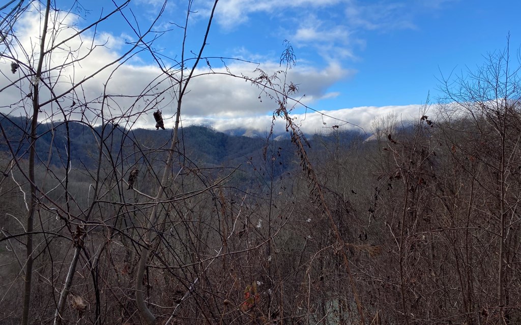 J-2 Georgianna Lane #J2, BRYSON CITY, North Carolina image 4