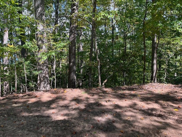 Lot 26 Longview Dr #26, HAYESVILLE, North Carolina image 6