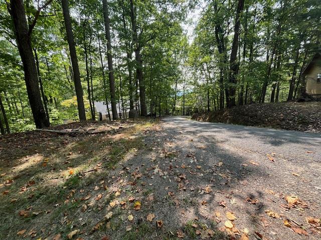 Lot 26 Longview Dr #26, HAYESVILLE, North Carolina image 5