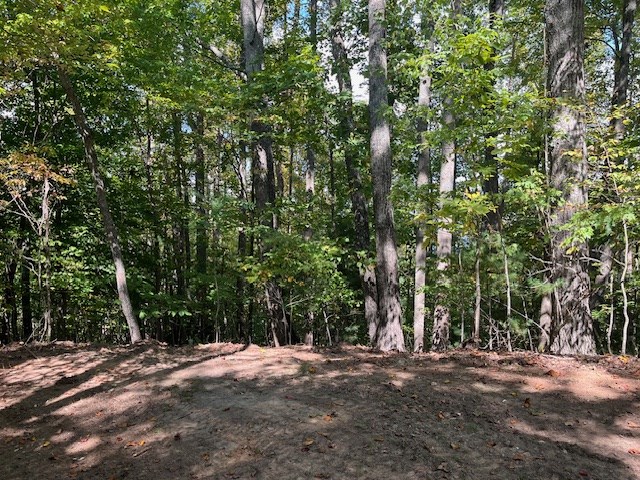 Lot 26 Longview Dr #26, HAYESVILLE, North Carolina image 7