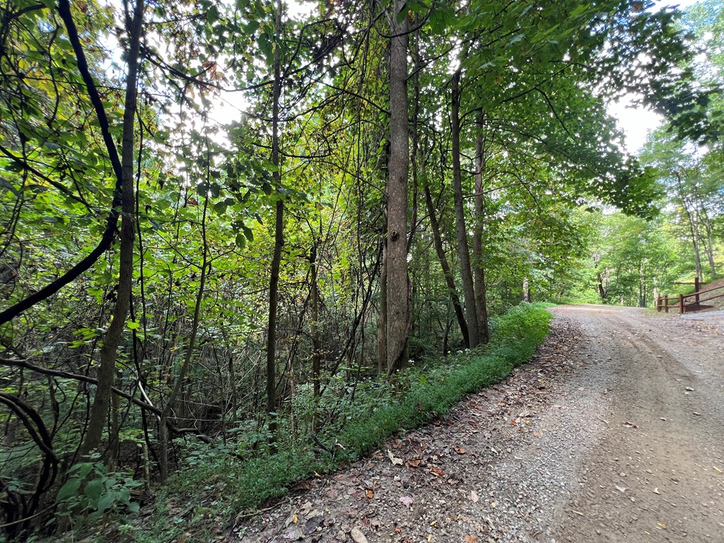 Lot 15 Shiloh Development Drive #15, HAYESVILLE, North Carolina image 3