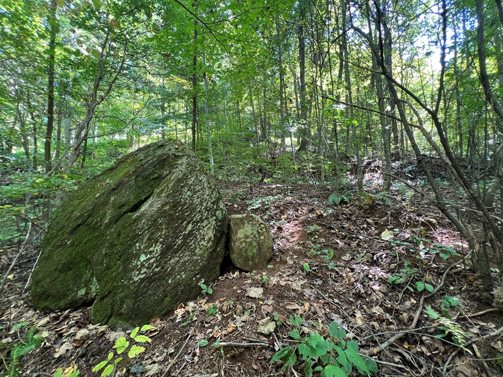 Lot 15 Shiloh Development Drive #15, HAYESVILLE, North Carolina image 11